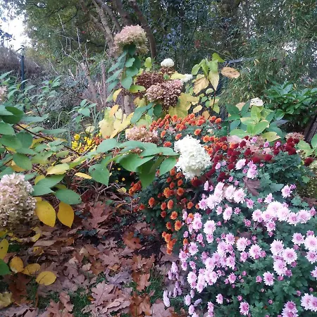 Σπίτι διακοπών Gaestehaus Am Brockeswald Κουξχάφεν