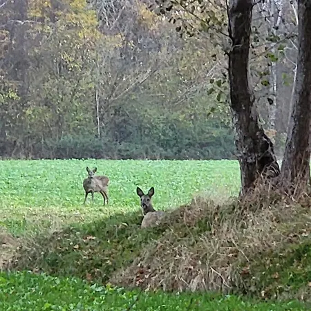 Gaestehaus Am Brockeswald *