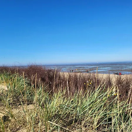 Gaestehaus Am Brockeswald * קושהאבן