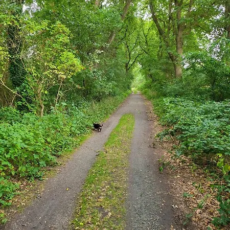 Gaestehaus Am Brockeswald * קושהאבן