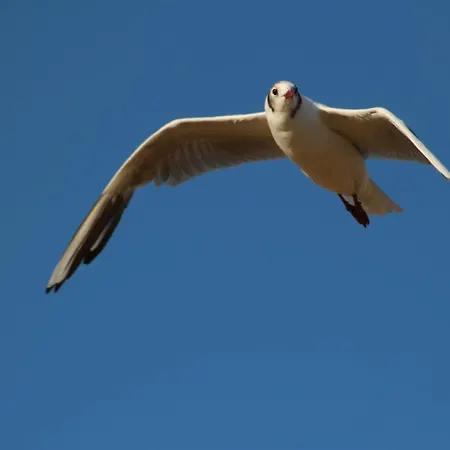 Gaestehaus Am Brockeswald Σπίτι διακοπών