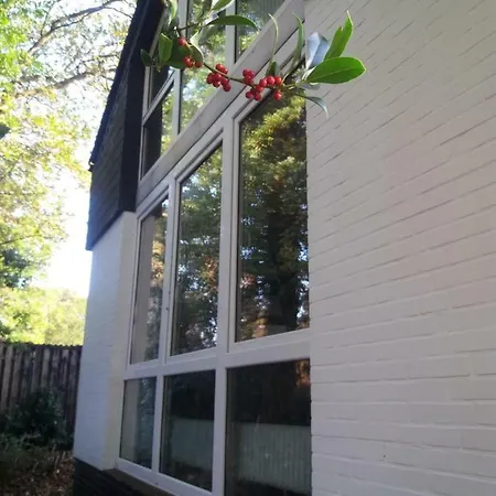 Σπίτι διακοπών Gaestehaus Am Brockeswald Κουξχάφεν