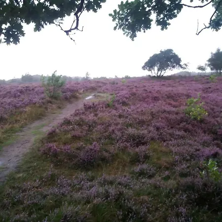 Σπίτι διακοπών Gaestehaus Am Brockeswald *